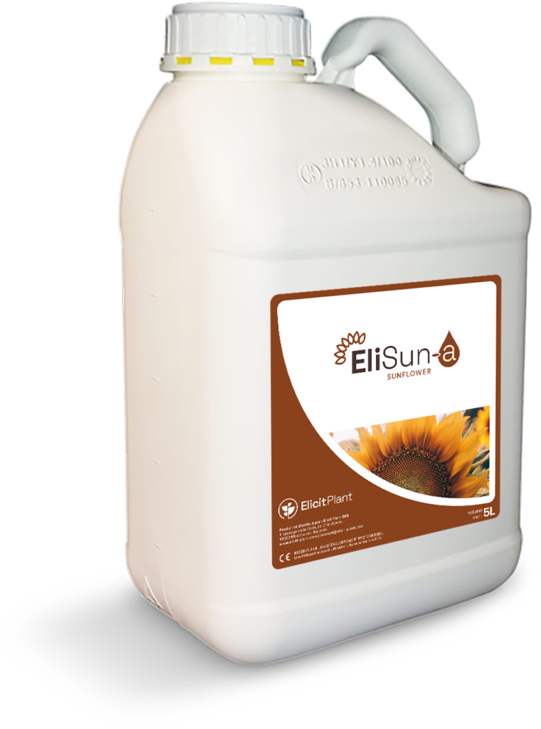 EliSun-a for sunflower Drought Stress