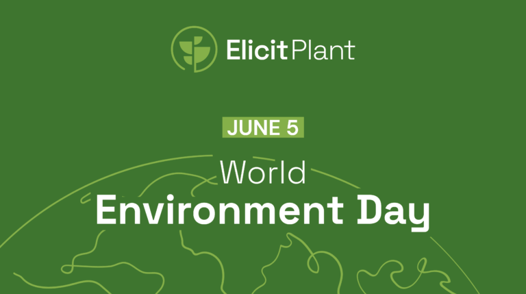 World Environment Day : Sustainability, a core commitment for Elicit Plant