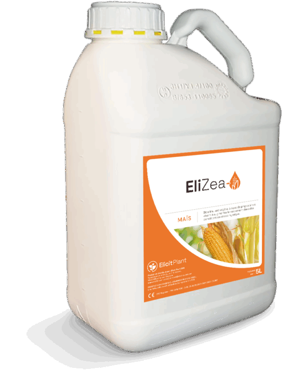 EliZea