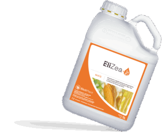 EliZea