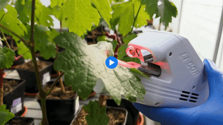 How French biotech helps crops save water worldwide