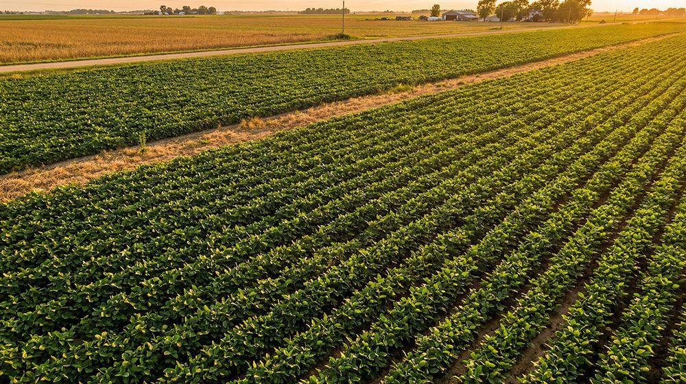 Elicit Plant Receives Multiple International Awards for Its Water Stress Management Solutions