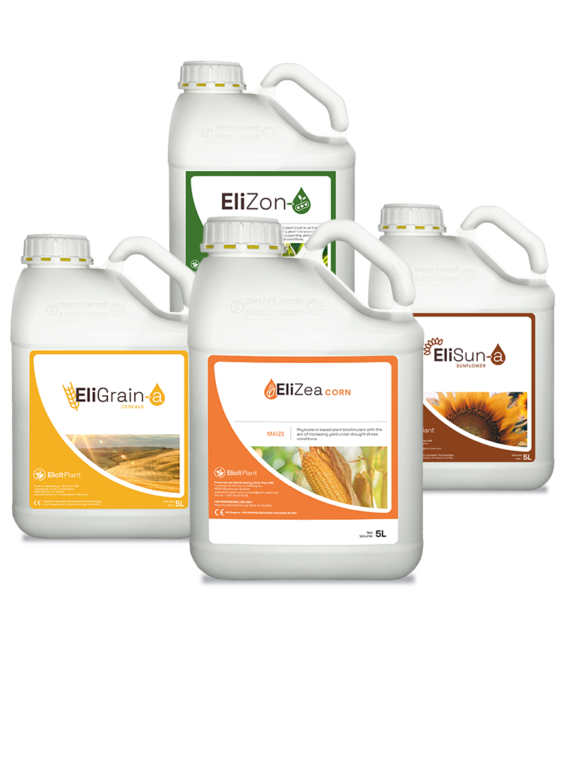 Solutions against water stress