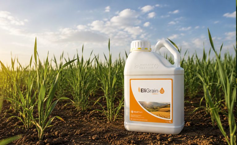 EliGrain-a