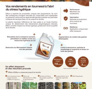 EliSun-a fiche produit miniature
