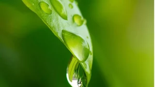Elicit Plant est en phase avec le plan eau du Gouvernement