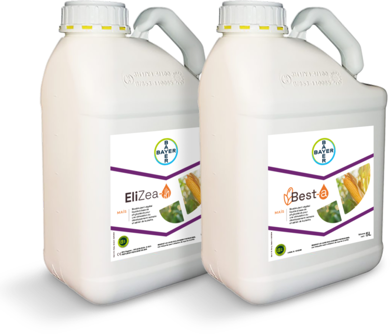 Best-a et EliZea Bayer