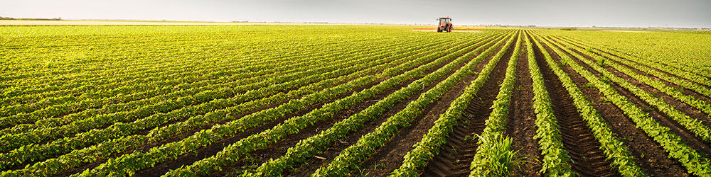 Les causes du stress hydrique en agriculture