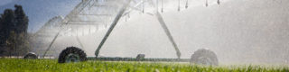 Lutter contre le stress hydrique en agriculture