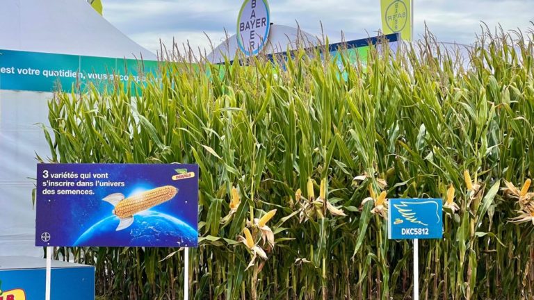 Bayer enrichit son offre maïs