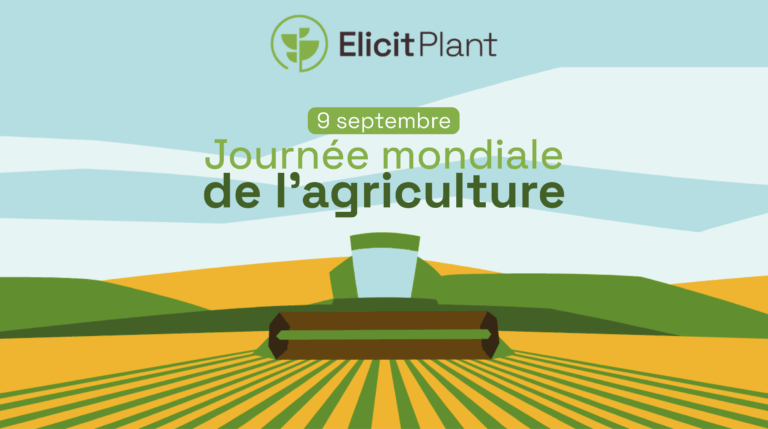 Journée mondiale de l’agriculture : relever le défi des stress climatiques