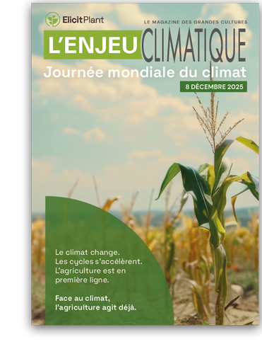 Magazine l'enjeu climatique - journée mondiale du climat