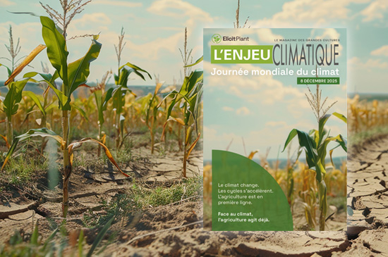 - MAGAZINE - L'ENJEU CLIMATIQUE - Journée mondiale du climat