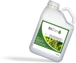 EliZon oblique FR