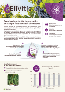 Fiche Technique EliVitis
