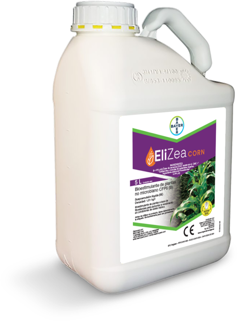 EliZea Corn