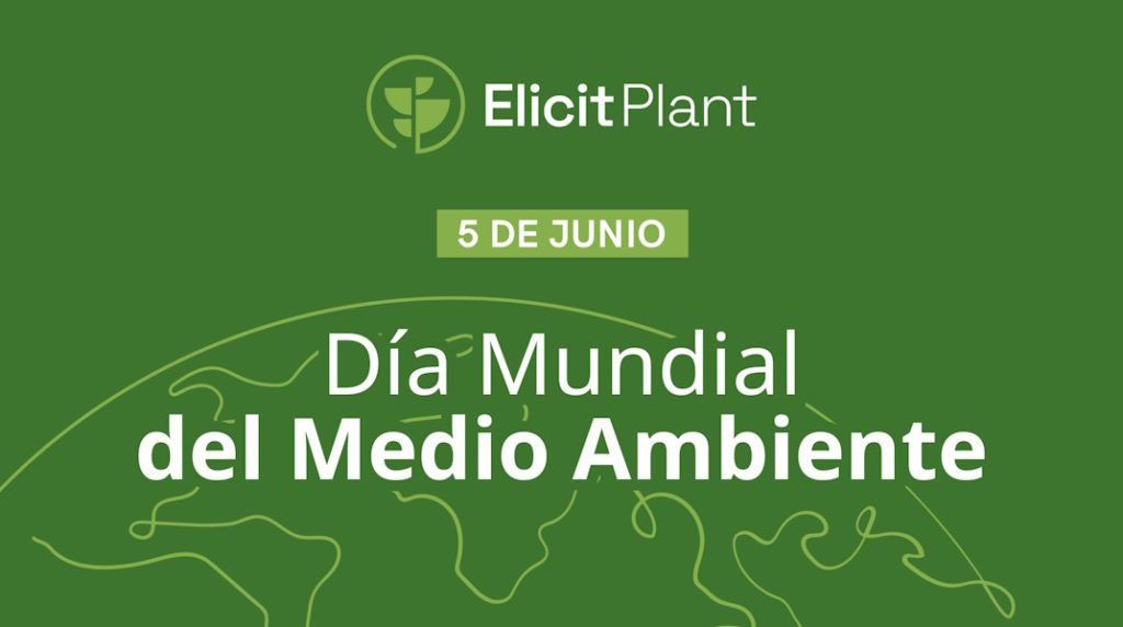 La sostenibilidad en el centro del compromiso de Elicit Plant