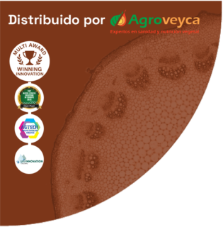 EliSun-a Multi-Award Agroveyca