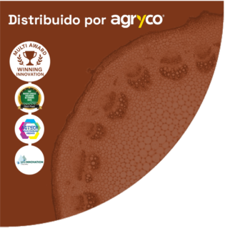 EliSun-a Multi Award Agryco