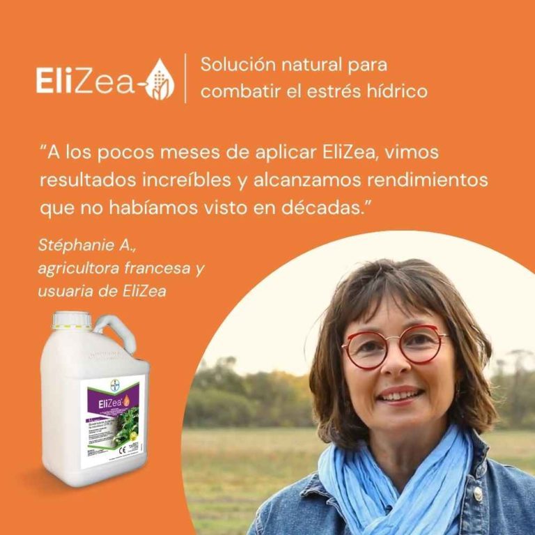 Testimonio