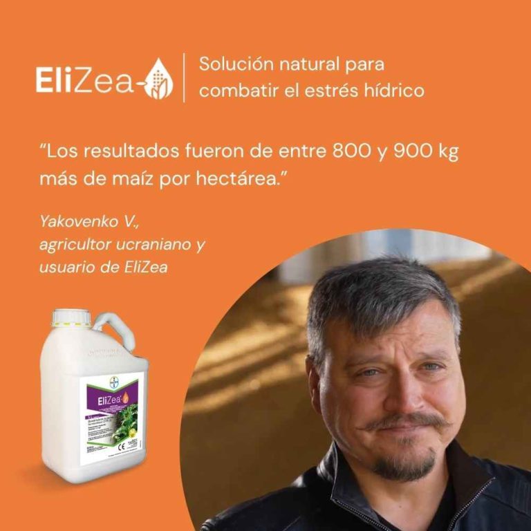 Testimonio