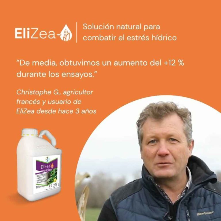 Testimonio