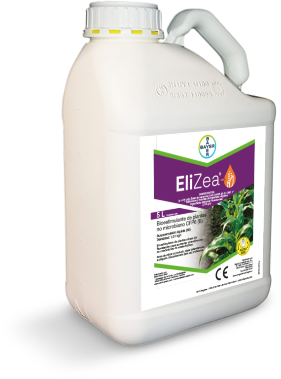 EliZea-mais