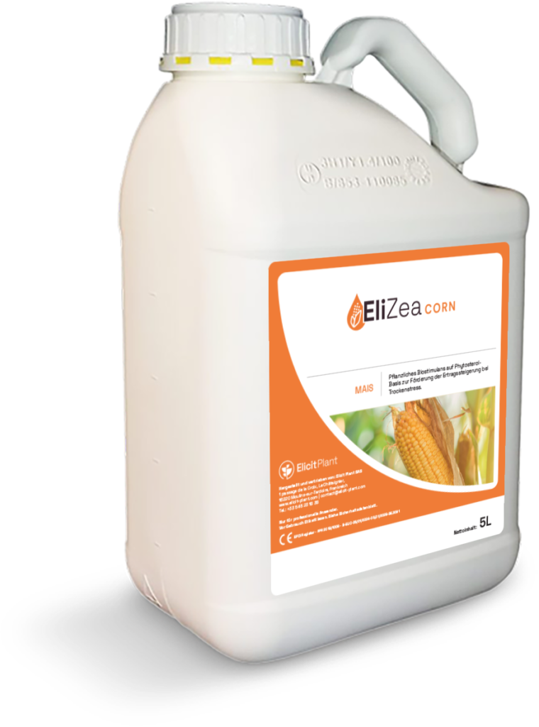 EliZea Corn