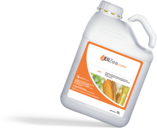 EliZea Corn