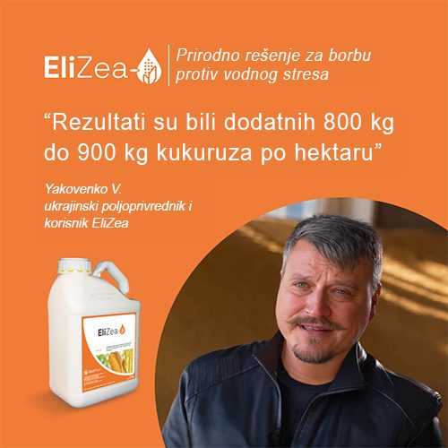 Iskustvo korisnika EliZea 1