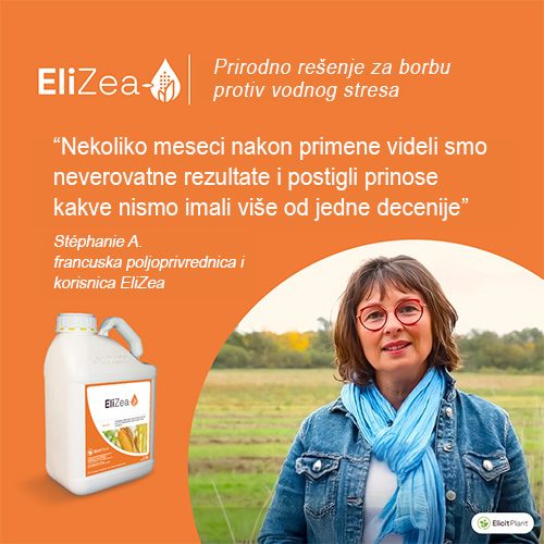 Iskustvo korisnika EliZea 2