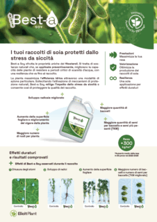 Best-a Soia - Scheda Prodotto