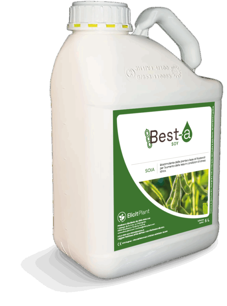 Best-a Soia