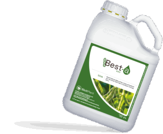 Best-a Soia