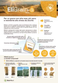 EliGrain-a Grano Scheda Prodotto