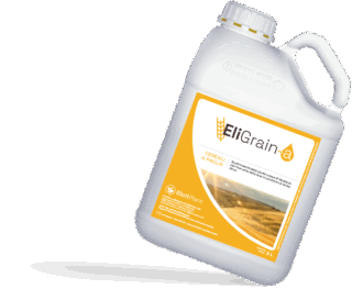 EliGrain-a Grano