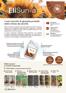 EliSun-a Girasole - Scheda Prodotto