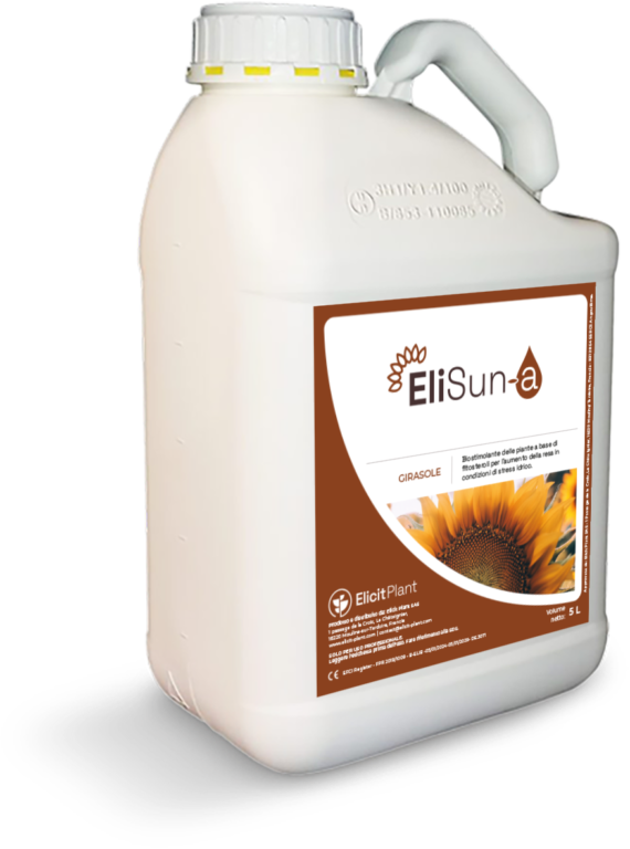 EliSun-a per il Girasole