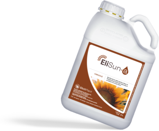 EliSun-a per il Girasole