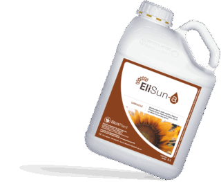 EliSun-a Girasole