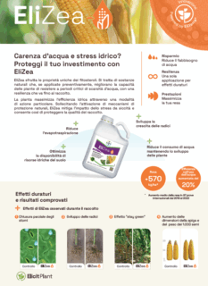 EliZea Mais da Granella - Scheda Prodotto
