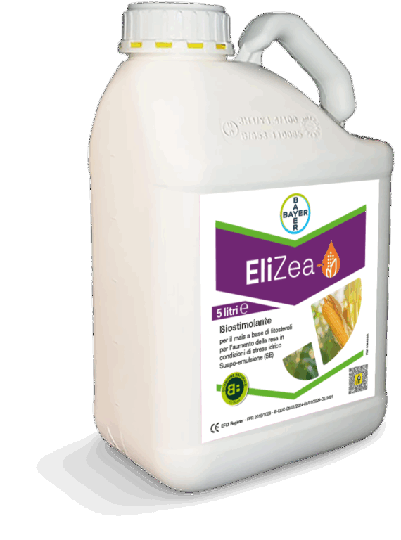 EliZea Mais da Granella