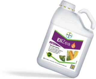 EliZea Mais da Granella