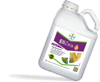 EliZea Mais da Granella