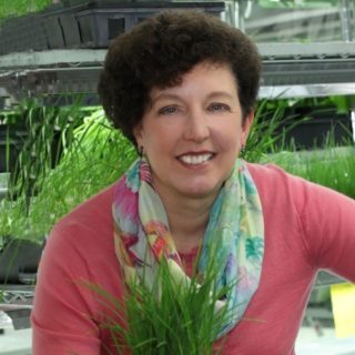 Pam Marrone - Chairwoman – INDEPENDENT MEMBER