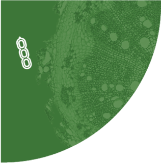 Soia logo