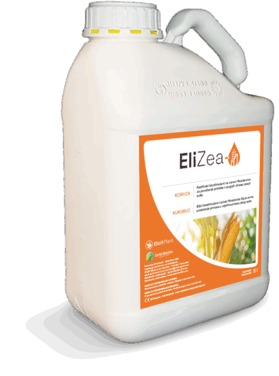 EliZea za vodeni stres kukuruza silaže