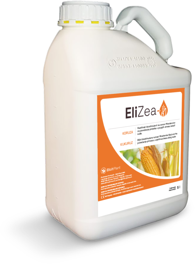 EliZea za vodeni stres kukuruza silaže