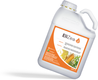 EliZea za vodeni stres kukuruza silaže