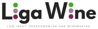 LigaWine